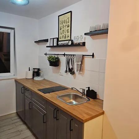 Hortensia * Tomis Nord