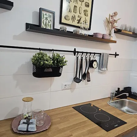 Hortensia * Tomis Nord