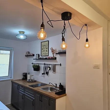 Hortensia * Tomis Nord